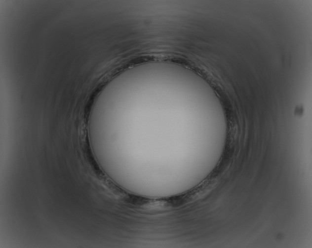 X0000096700609200802121204