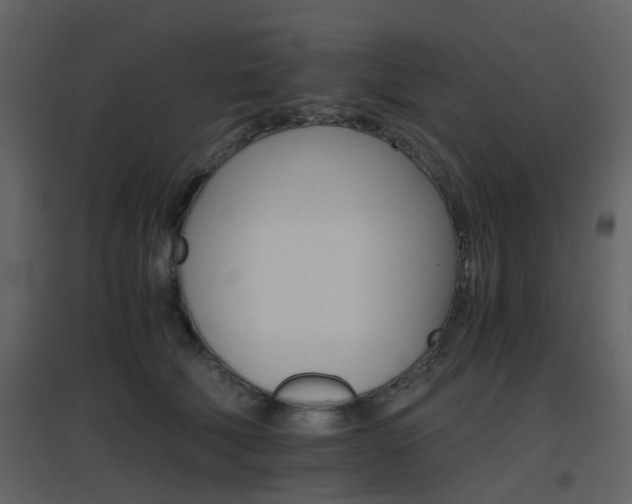 X0000096700610200802121204
