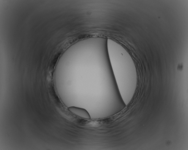 X0000096700611200802121204