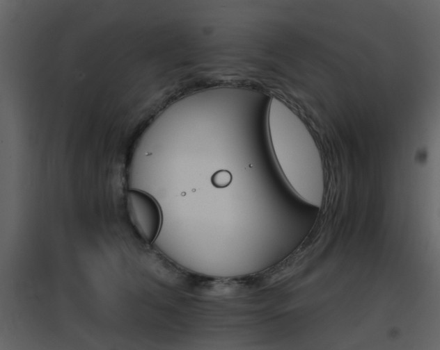X0000096700612200802121204