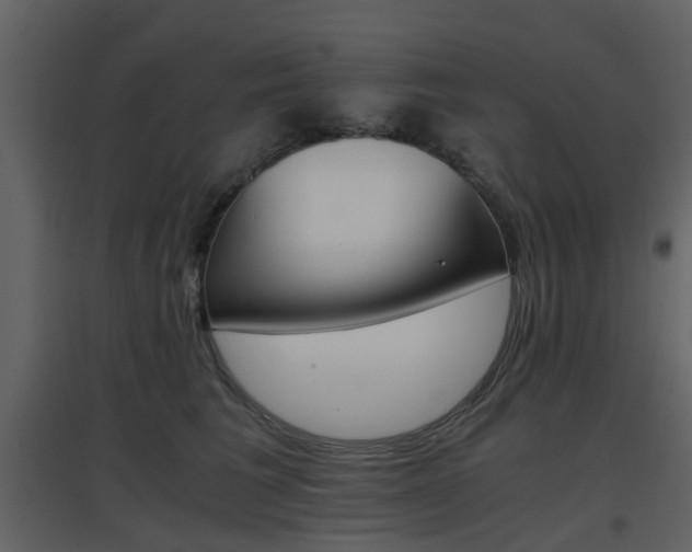 X0000096700613200802121204