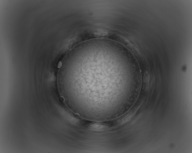 X0000096700614200802121204