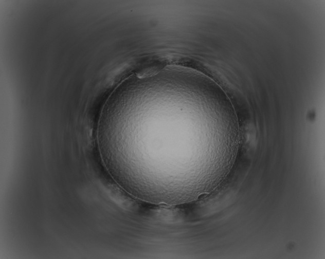 X0000096700615200802121204