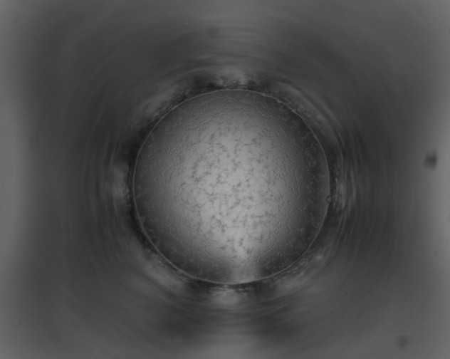 X0000096700616200802121204