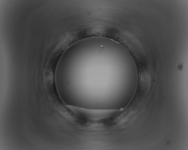 X0000096700617200802121204
