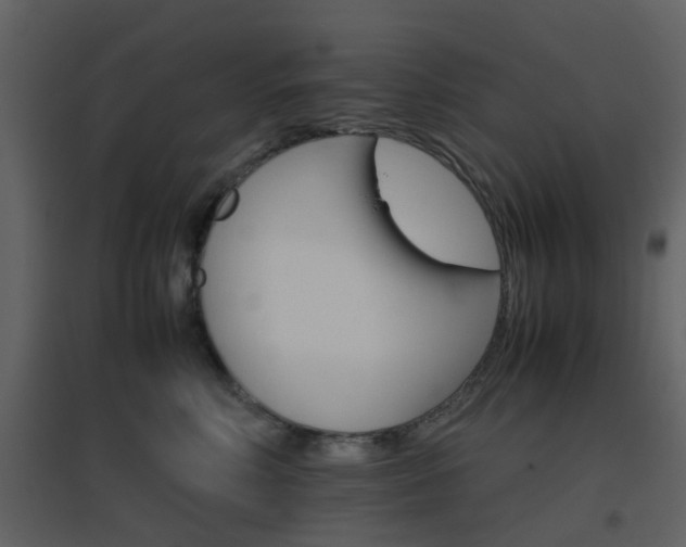 X0000096700618200802121204