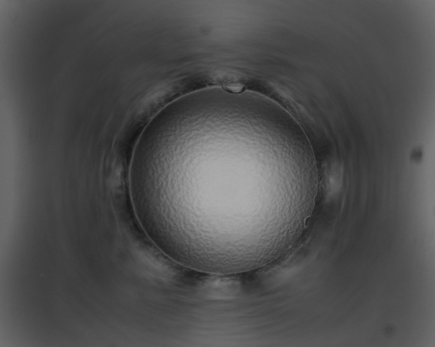 X0000096700619200802121204