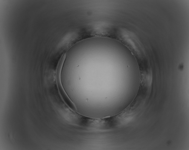 X0000096700621200802121204