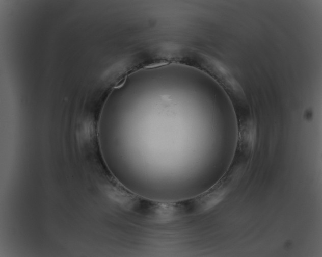 X0000096700623200802121204