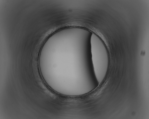 X0000096700625200802121203