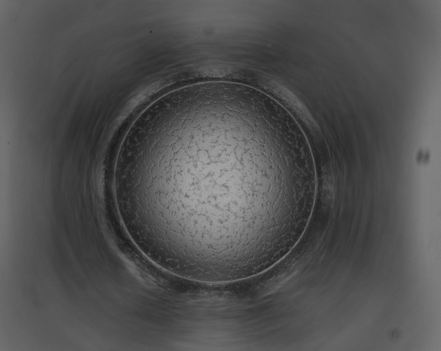 X0000096700626200802121203