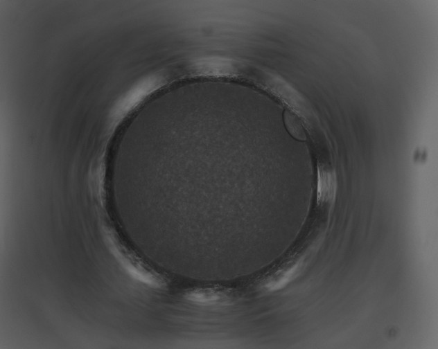 X0000096700627200802121203