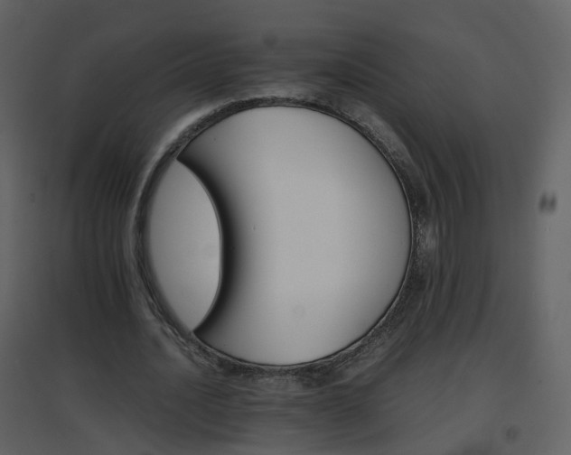 X0000096700628200802121203