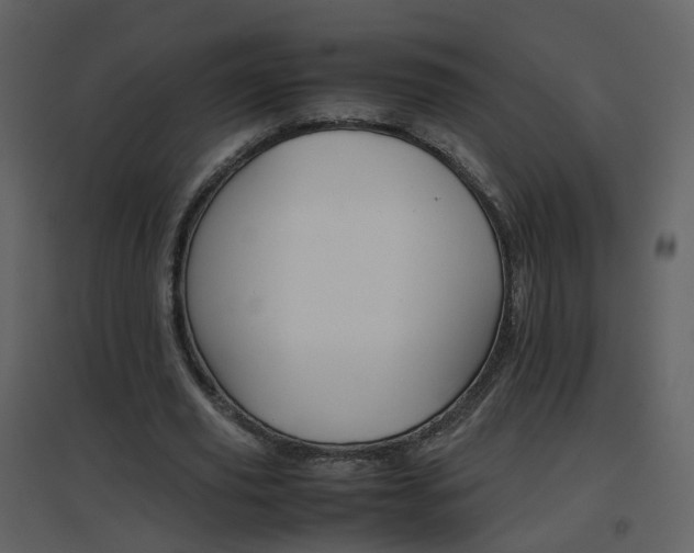 X0000096700629200802121203