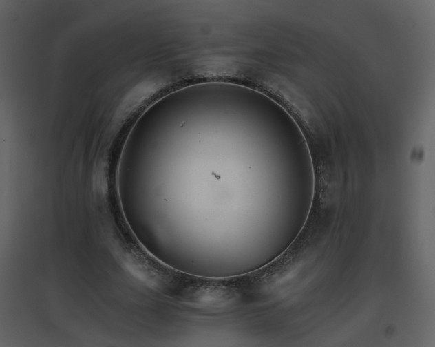 X0000096700631200802121203