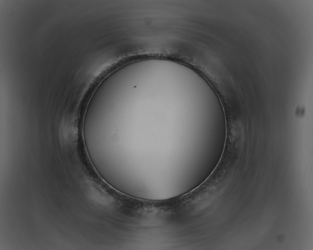 X0000096700632200802121203