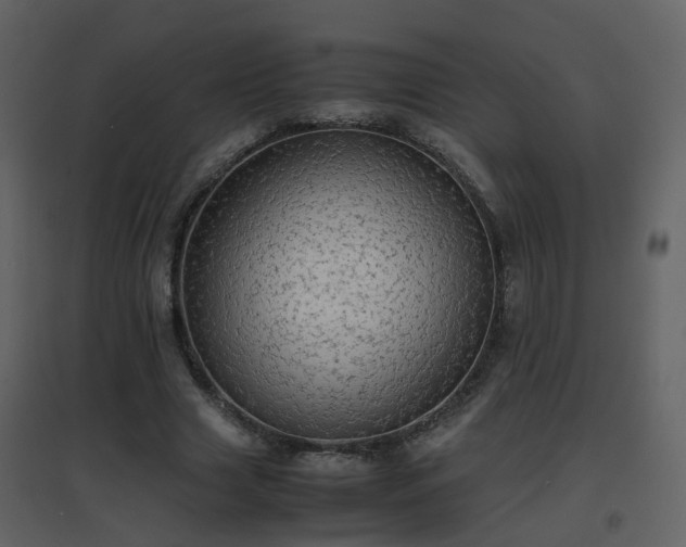 X0000096700633200802121203