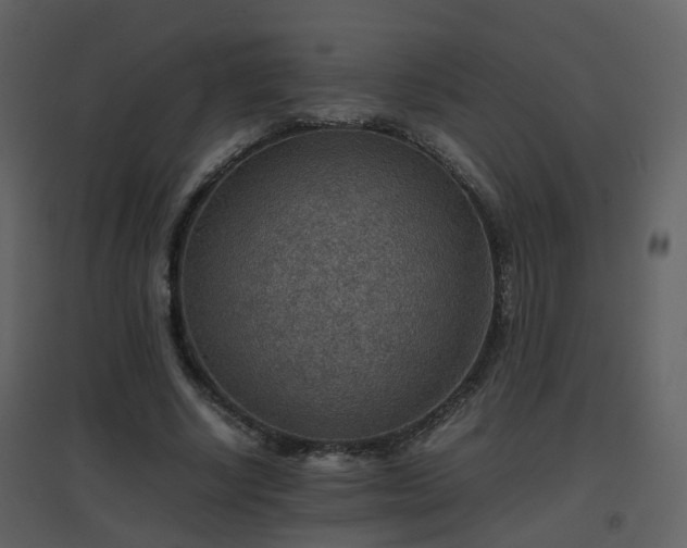 X0000096700634200802121203