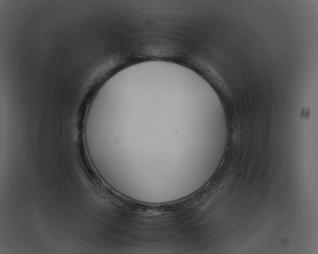 X0000096700635200802121203