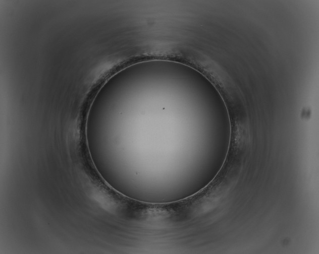 X0000096700636200802121203