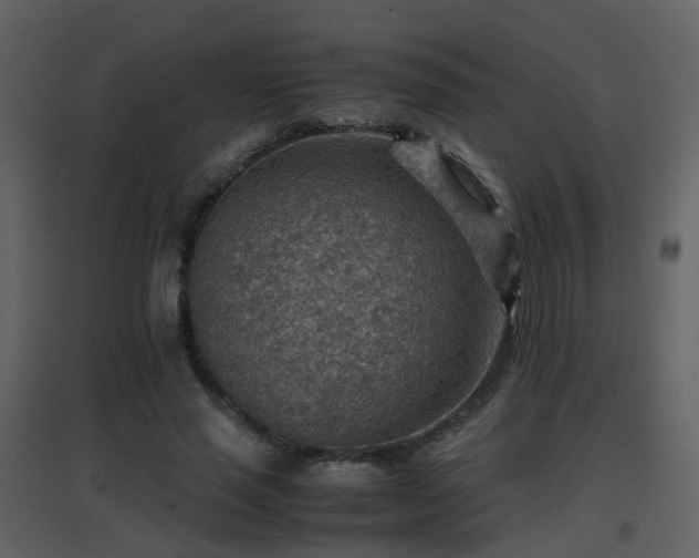 X0000096700637200802121203