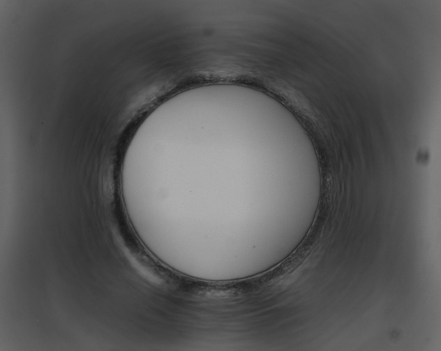 X0000096700638200802121203