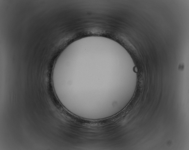 X0000096700639200802121203
