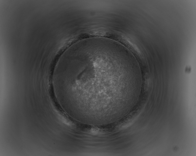 X0000096700641200802121203