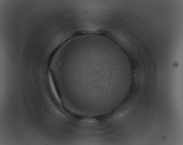 X0000096700642200802121203