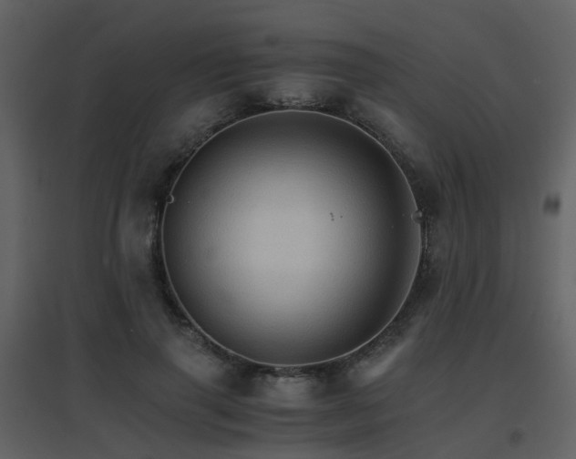 X0000096700645200802121203