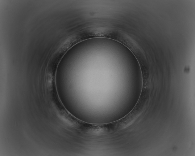 X0000096700646200802121203