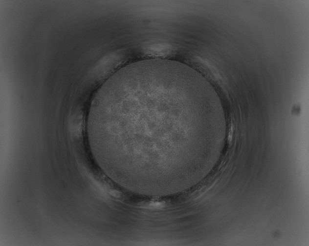 X0000096700647200802121203
