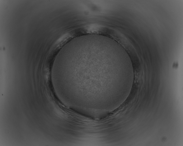 X0000096700648200802121204