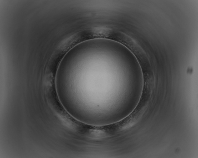 X0000096700649200802121204