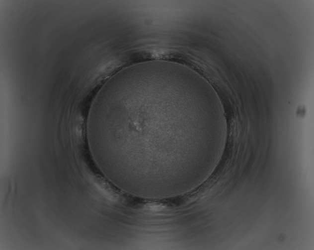 X0000096700650200802121204