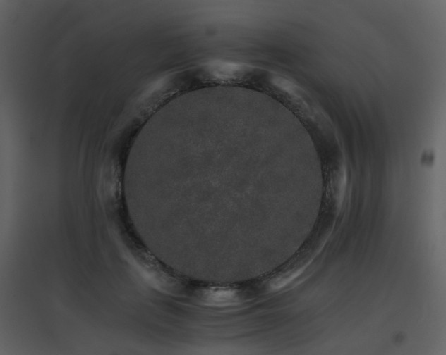 X0000096700651200802121204