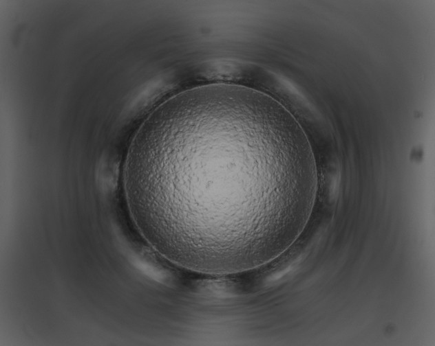 X0000096700652200802121204
