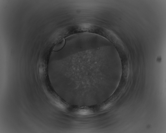 X0000096700653200802121204