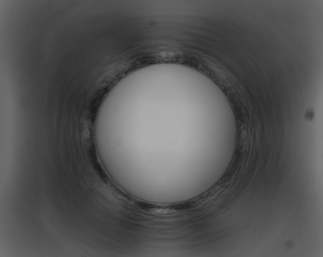 X0000096700654200802121204