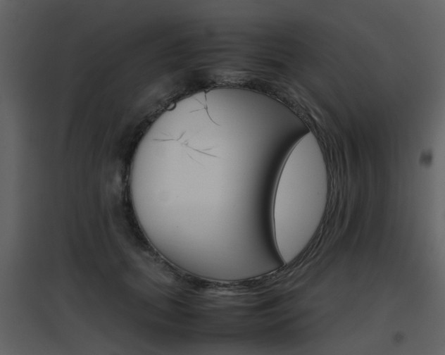 X0000096700655200802121204