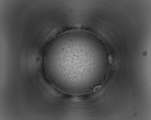 X0000096700656200802121204