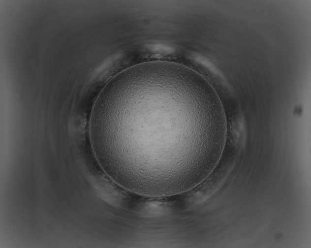 X0000096700657200802121204