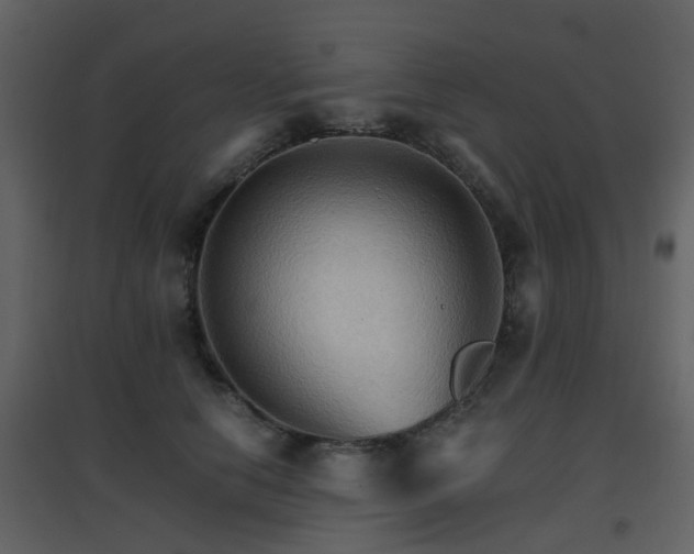 X0000096700658200802121204