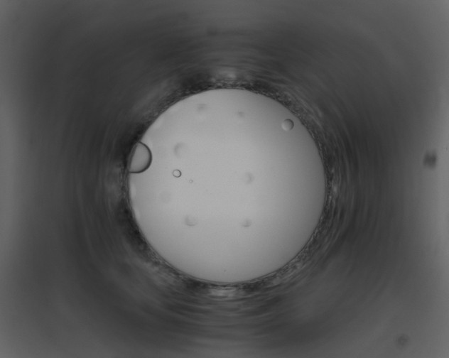 X0000096700659200802121204