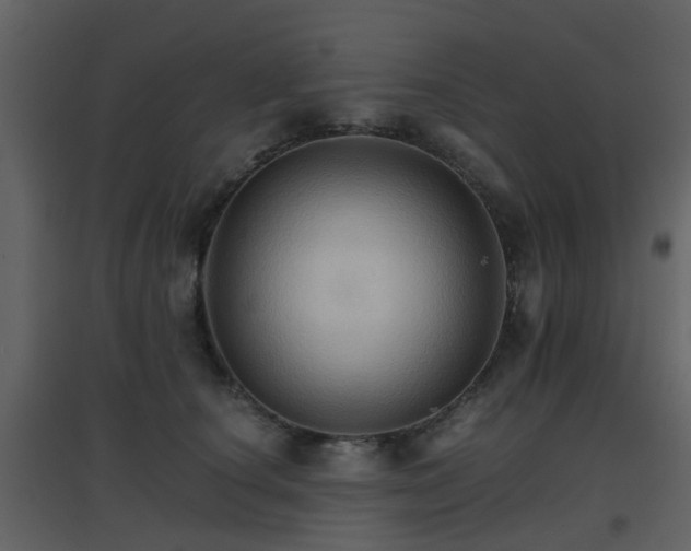 X0000096700660200802121204