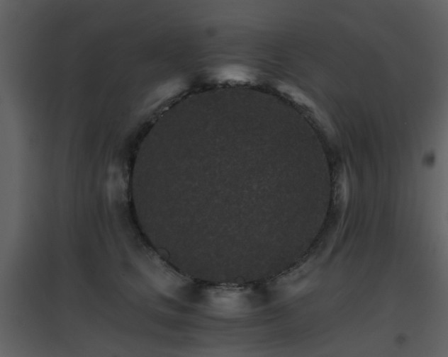 X0000096700661200802121204