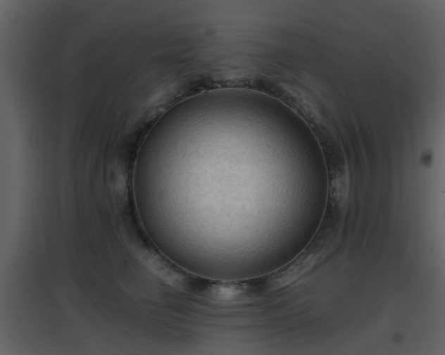 X0000096700662200802121204