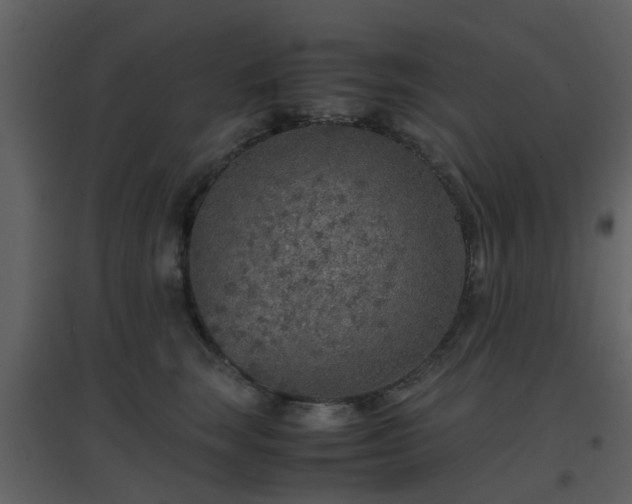 X0000096700663200802121204