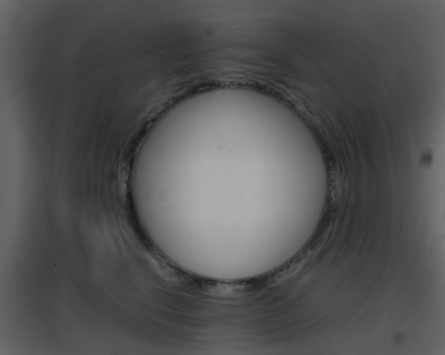 X0000096700664200802121204