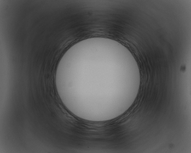 X0000096700665200802121204